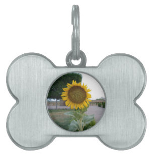 Sunflower Art Print Pet Tag