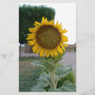 Sunflower Art Print Stationery