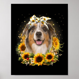 Sunflower Australian Shepherd Dog Mothers Day For Poster