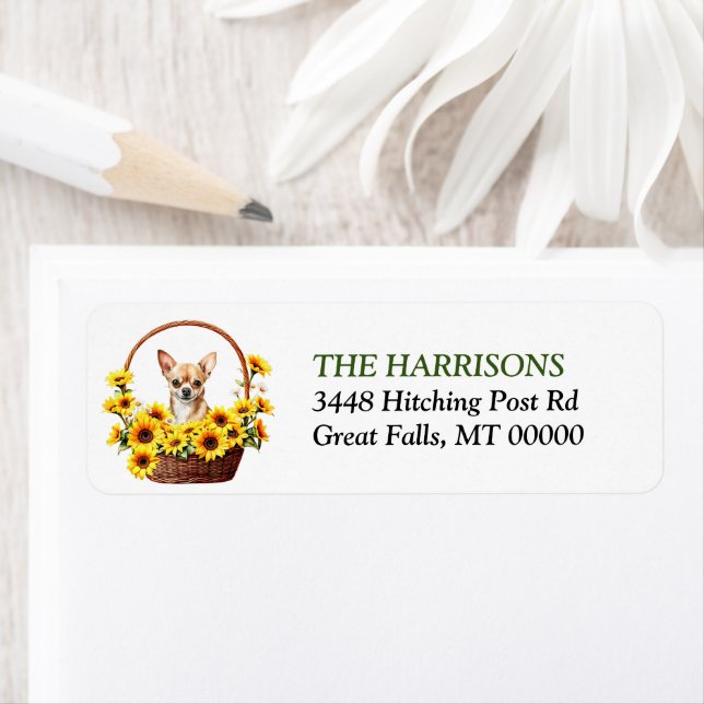 Sunflower Basket Chihuahua Dog (Insitu)