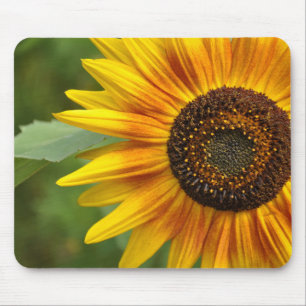 Sunflower beauty mouse mat