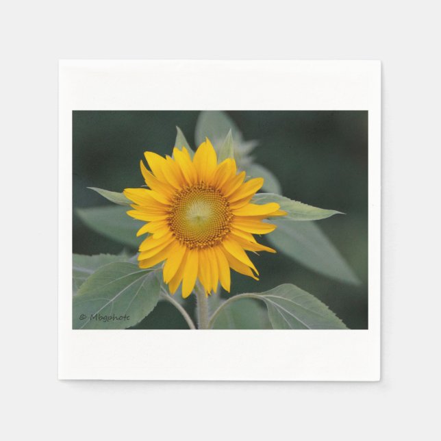Sunflower Beauty Napkin (Front)