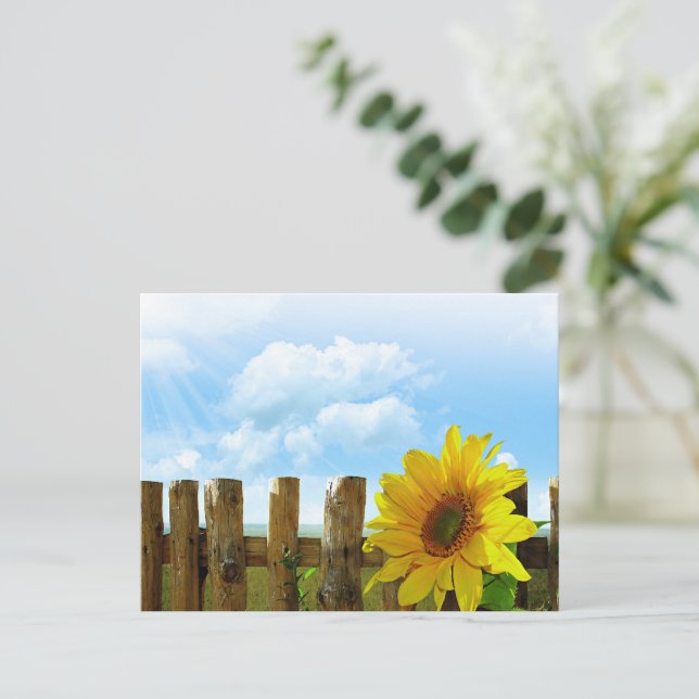 Sunflower Beauty Postcard (Standing Front)