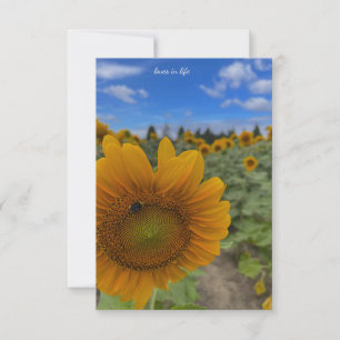 Sunflower, Bee & Blues Skies Card