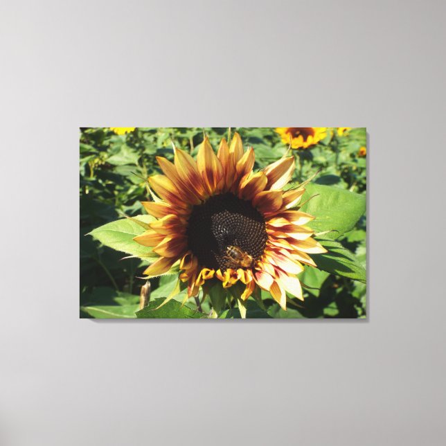 Sunflower Bee Canvas Print (Front)