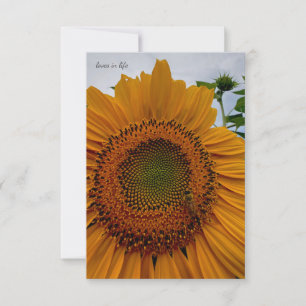 Sunflower & Bee Card