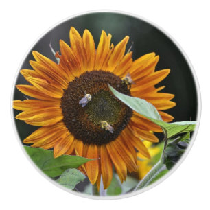 Sunflower & Bee Ceramic Knob