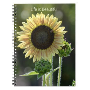 Sunflower Bee (my photography) Notebook