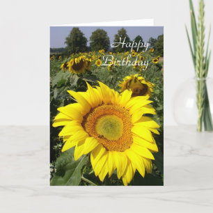 Sunflower birthday card
