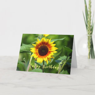 Sunflower Birthday Greeting Card