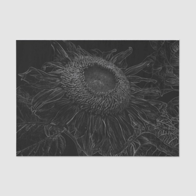Sunflower Black And White Floral Art Decoupage Tissue Paper (Front)