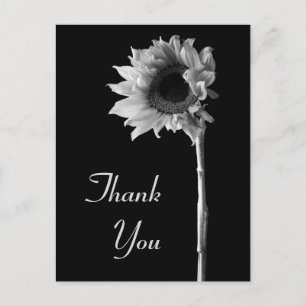 Sunflower Black and White Photograph Thank You Postcard