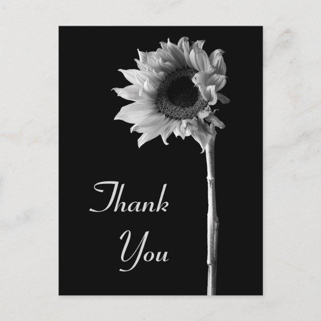 Sunflower Black and White Photograph Thank You Postcard (Front)