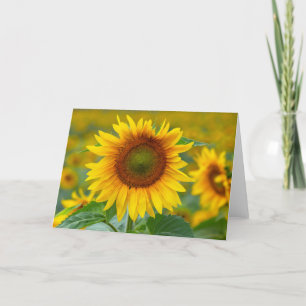 Sunflower Blank Note Card
