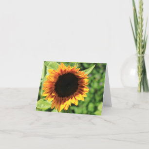 Sunflower blank notecard