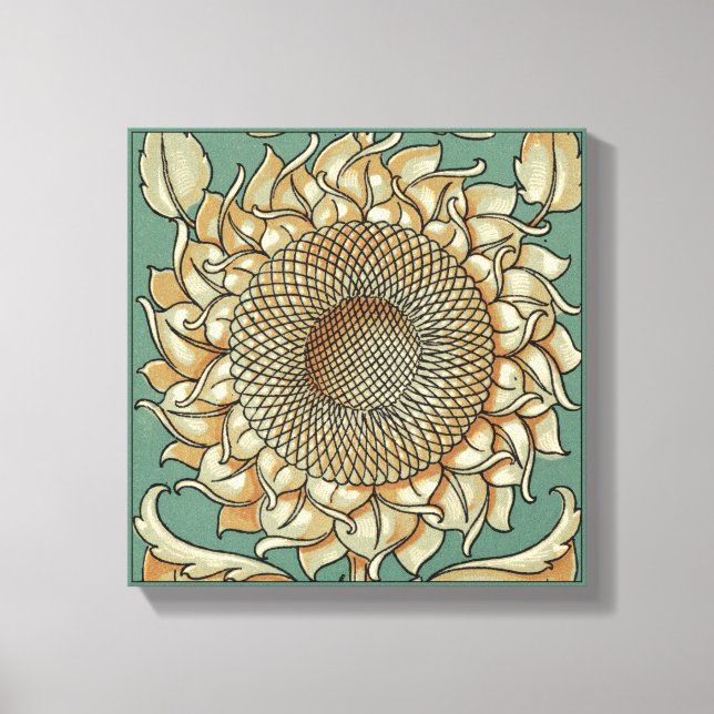Sunflower Bloom on Blue-green Background Canvas Print (Front)