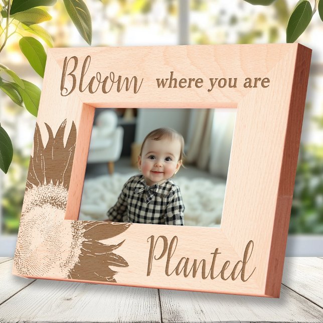 Sunflower Bloom Where You Are Planted Etched Frames (Creator Uploaded)