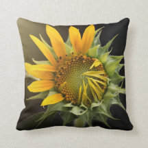 Sunflower Blossom | Indoor/Outdoor