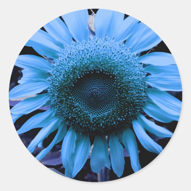 Sunflower, blue flower, retro blue floral   classic round sticker (Front)