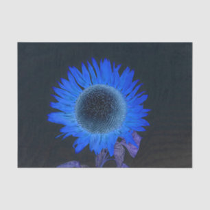 Sunflower Blue Purple Black Single Rustic Pop Art Tissue Paper