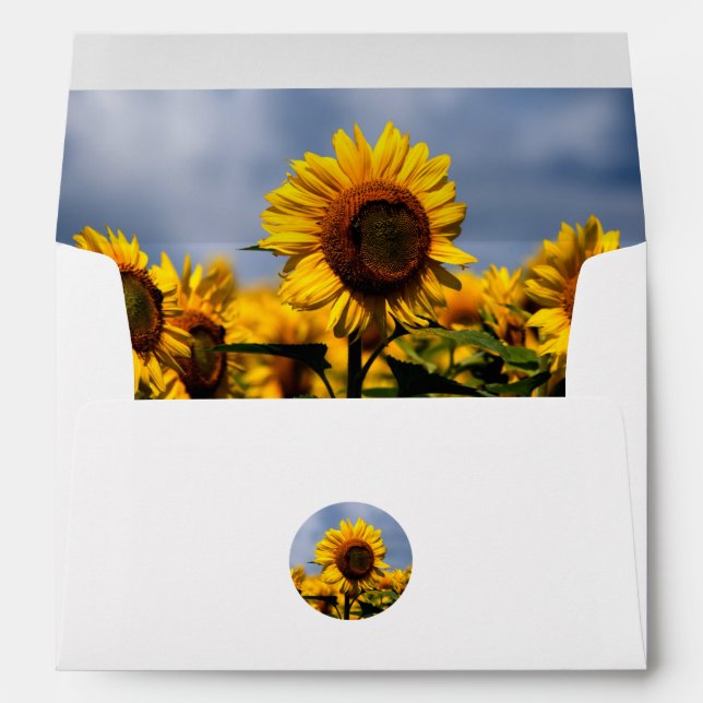 Sunflower Blue Sky Rustic 5x7 Wedding Invitation Envelope (Back (Bottom))