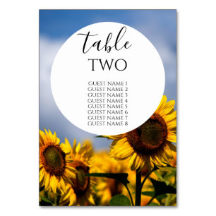 Sunflower Blue Sky Rustic Wedding Guest Names Table Number