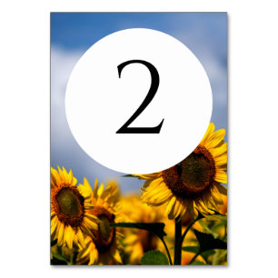 Sunflower Blue Sky Rustic Wedding Table Number