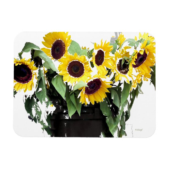 Sunflower Bouquet Magnet (Horizontal)