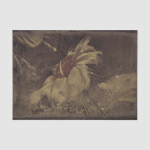 Sunflower Brown Sepia Vintage Antique Sketch Tissue Paper