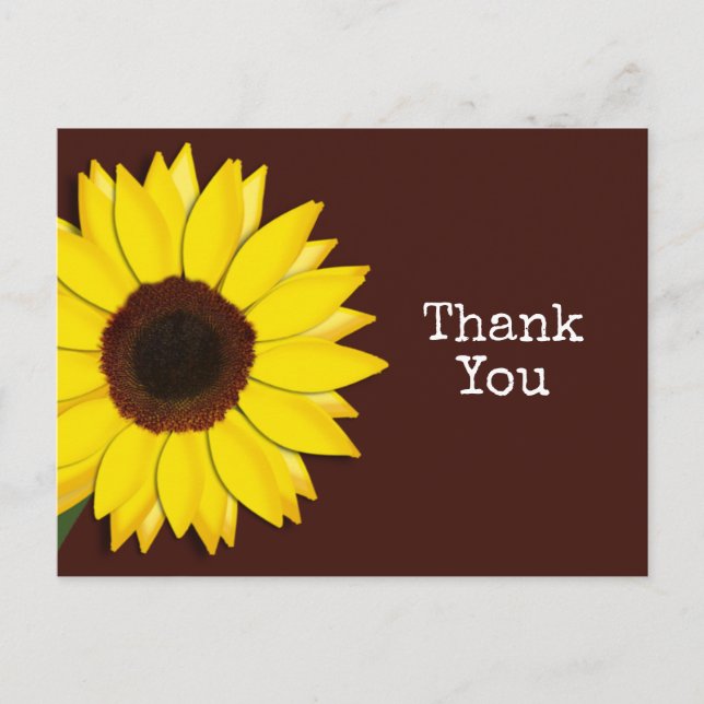 Sunflower Brown Thank You or Any Text Postcard (Front)