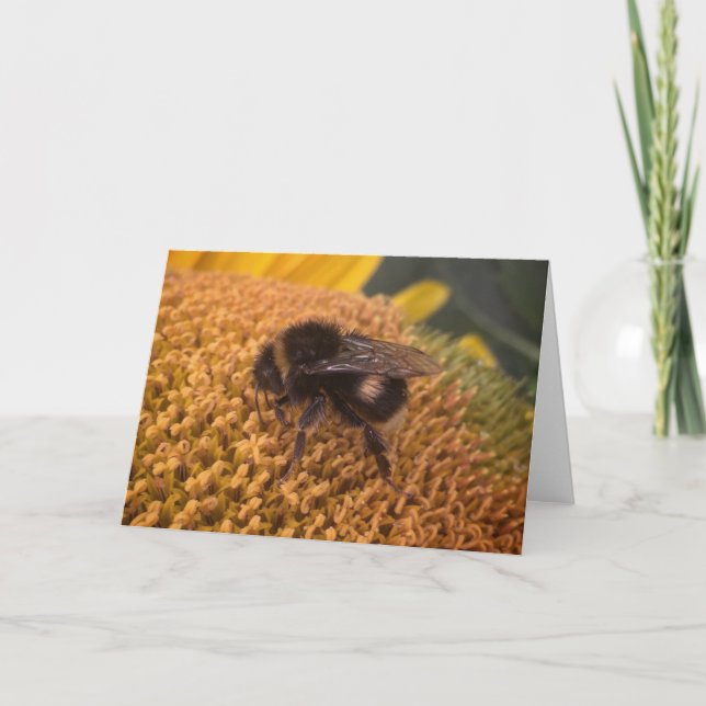 Sunflower Bumblebee Holiday Card (Front)