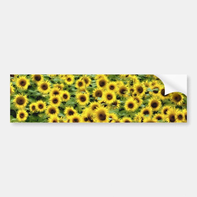 Sunflower Bumper Sticker (Front)