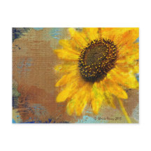 Sunflower Burst Postcard