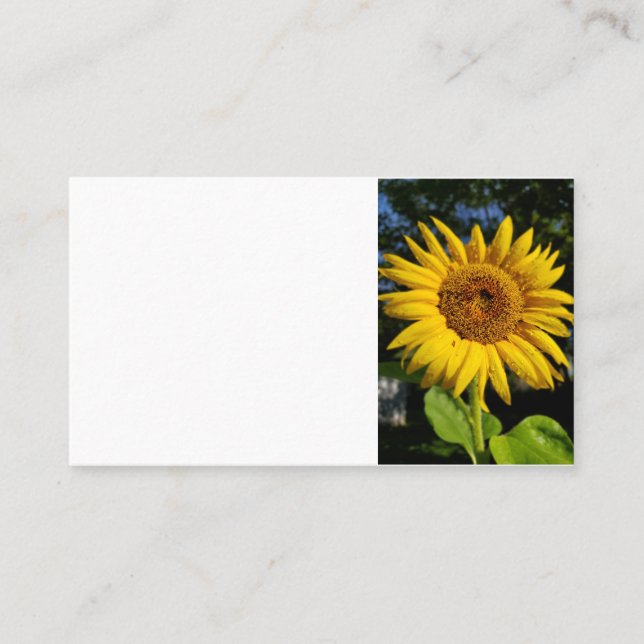 Sunflower Business Card (Front)