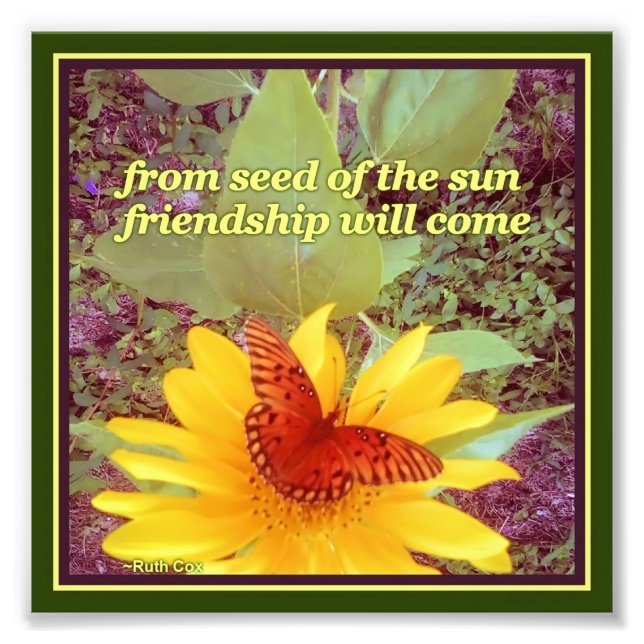 Sunflower Butterfly Friendship Seeds Photo Print (Front)