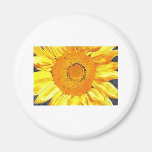 Sunflower by Paula Atwell Magnet