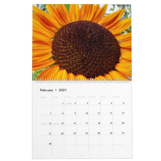 Sunflower calendar - Sunflowers of the month 2020 | Zazzle.co.uk