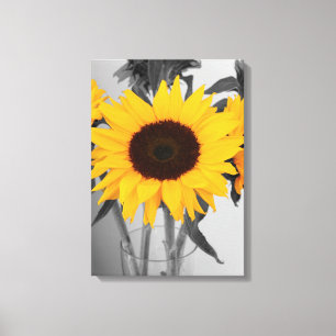 Sunflower Canvas Print