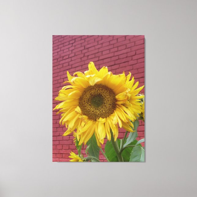 Sunflower Canvas Print (Front)