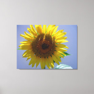 Sunflower Canvas Print