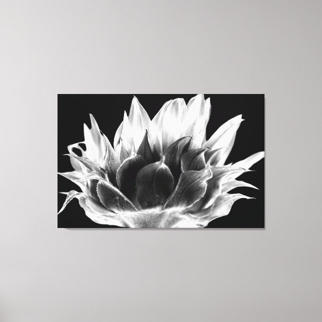 Sunflower  canvas print (Front)