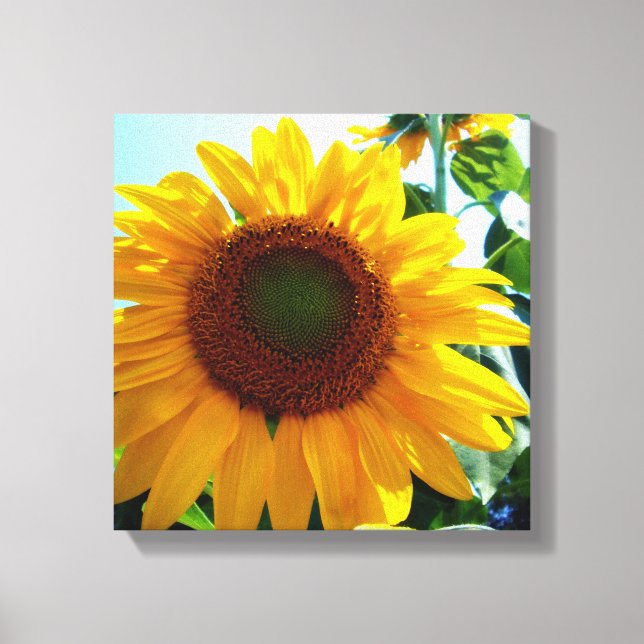 Sunflower Canvas Print (Front)