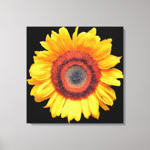 SUNFLOWER CANVAS PRINT