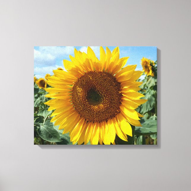 Sunflower Canvas Print (Front)
