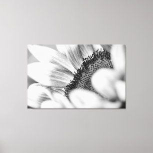 Sunflower Canvas Print