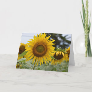 Sunflower card