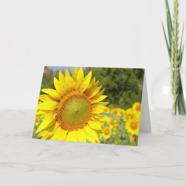 sunflower card (Front)