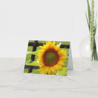 Sunflower Card