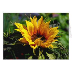 Sunflower CARD