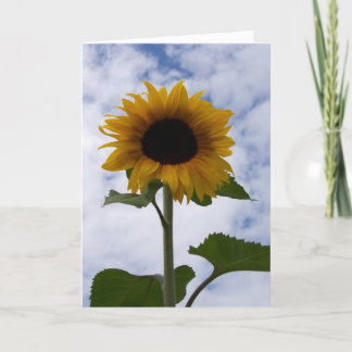 Sunflower Card